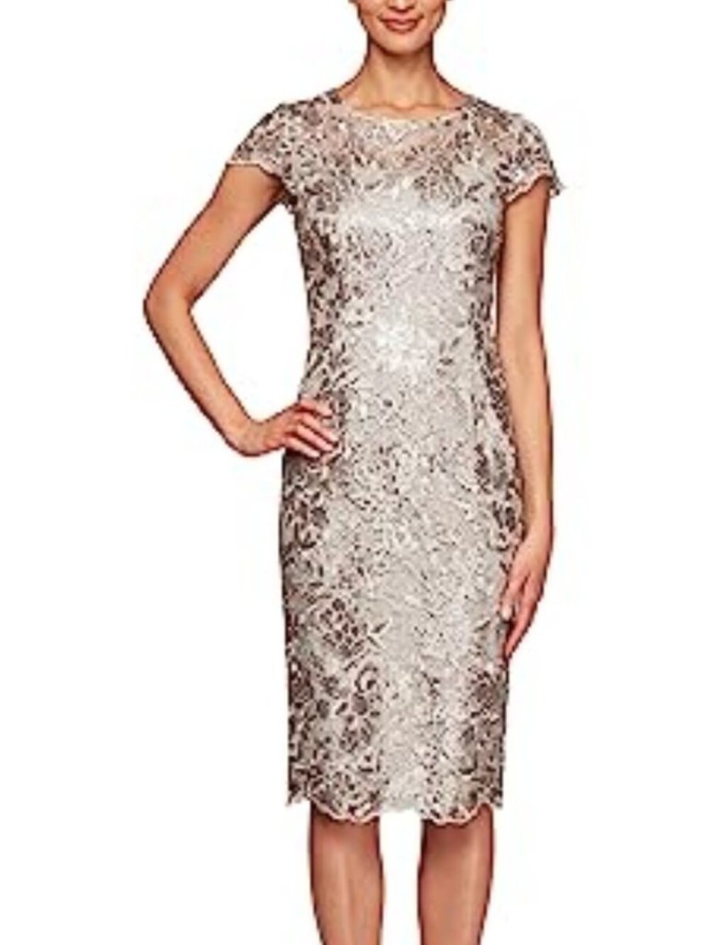 Alex Evenings Women's Knee Length Floral Embroidered Cocktail Sheath Dress